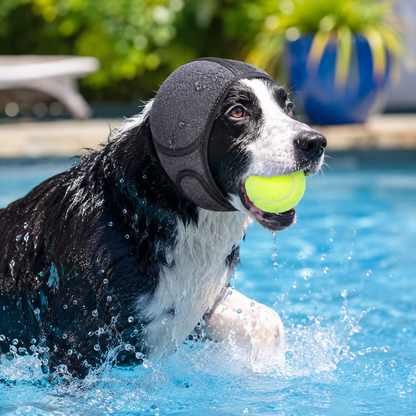 CalmEars™ - Dog Ear Wrap
